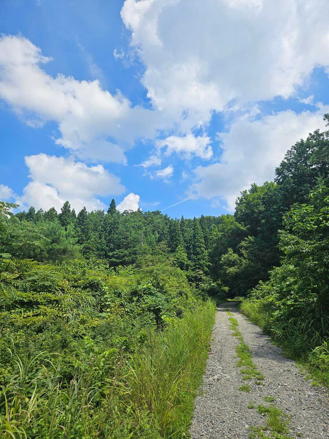 晴れ☀