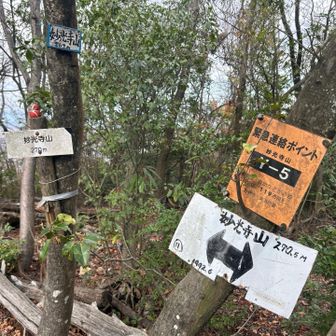 ザレ場を上がってピークに