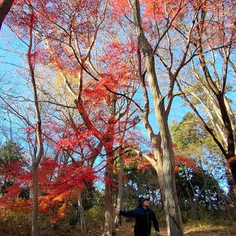 見頃ピークをみなさんにお届けしたい！！🔥😎🔥
