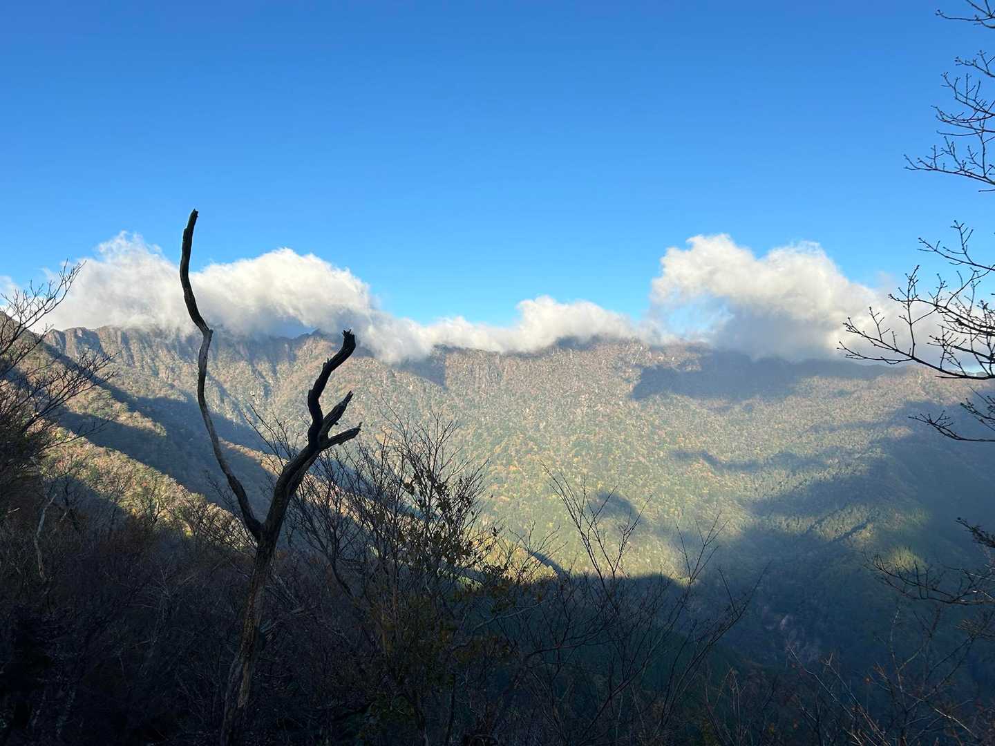 おわー｡ﾟ+.( °∀°)ﾟ+.ﾟ
絶景すぎるやん
