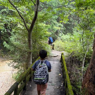 急いで三河川合駅へ
