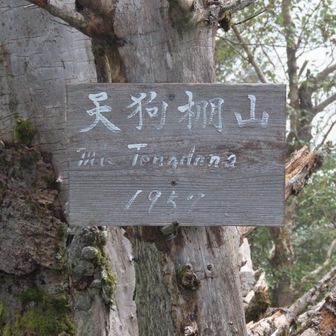 が天狗棚山1957ｍ