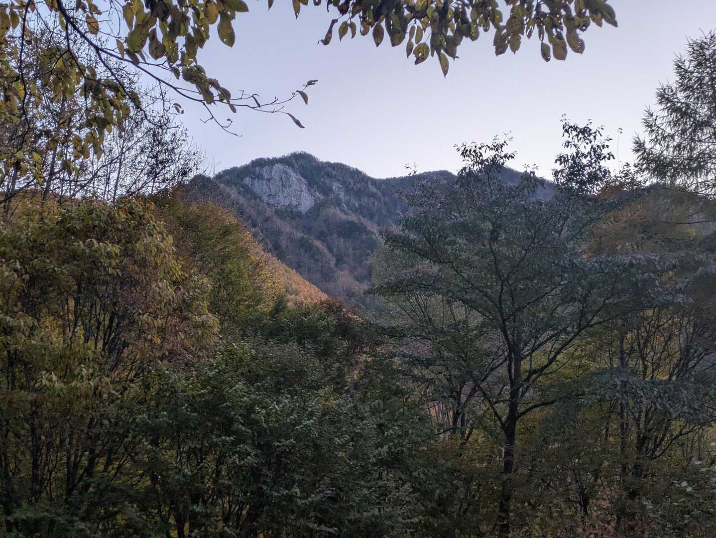 本谷山-三伏山-三伏峠-鳥倉登山口-越路バス停 縦走コースの写真