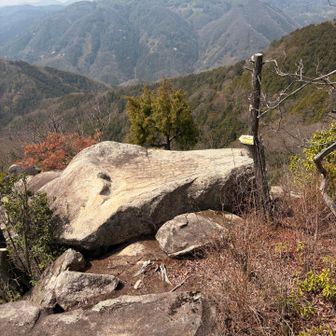 今日はあの岩場周遊ミニミニコースまで行けるかな😅