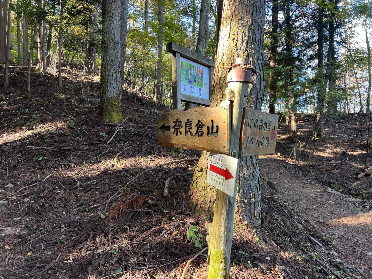 鶴峠-奈良倉山-松姫峠-鶴寝山-大マテイ山 縦走コースの写真