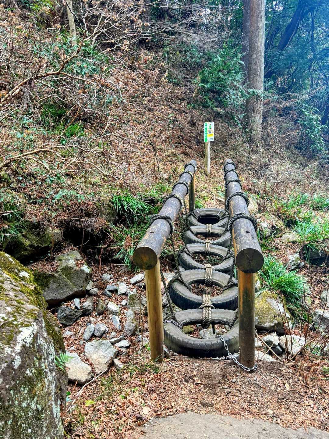 日金山-東光寺-岩戸山 往復コースの写真