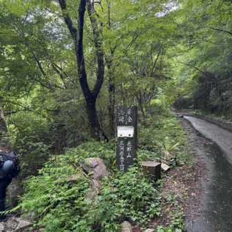 登山口すぐの川へ降りる為の木でできた梯子が
かなり登り降りしにくいです。