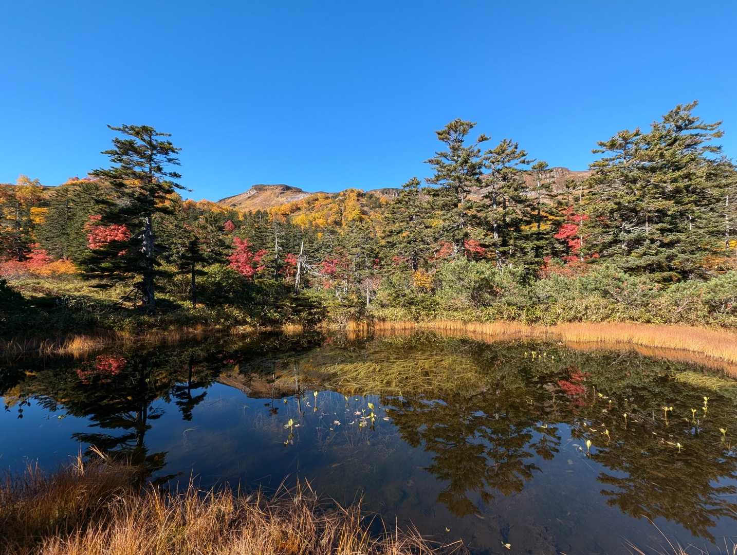 大雪高原山荘発着｜水鏡を楽しむ沼めぐり往復コースの写真