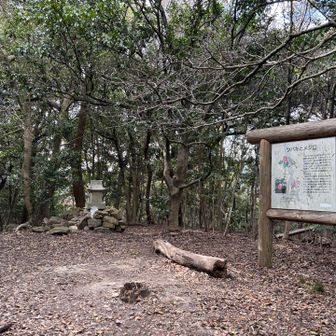 中弥山山頂❗️