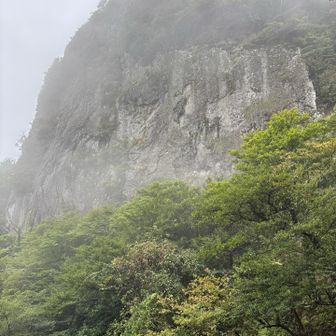 鹿🫎ツノ🫎
大岩🪨の向こう側にあり
右側から　大きく迂回して登ると
