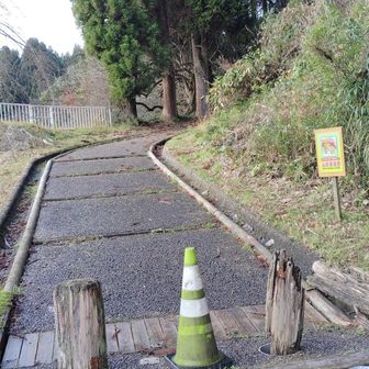 整備された道
だけど落ち葉がいっぱい