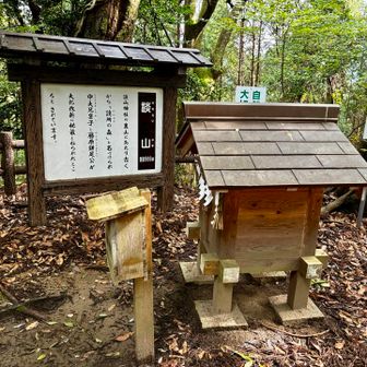 大化改新の相談をした所