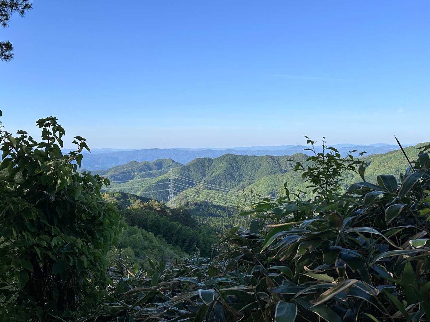 星山東登山口-星山-扇山-五輪山-櫃ヶ山-櫃ヶ山登山口 縦走コースの写真