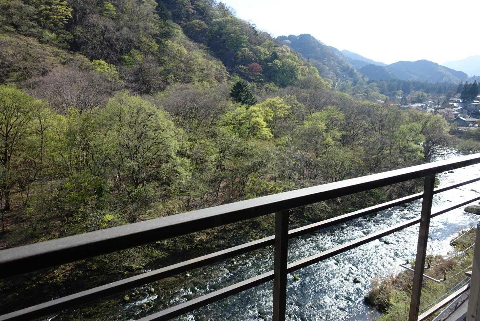 観光案内所で貰った日帰り入浴一覧から、駅に戻る途中にある小槌の宿　鶴亀大吉さんの温泉に♨️
温泉から見える景色
貸切状態でゆっくり入れました。ツルツル美肌の湯でした☺️