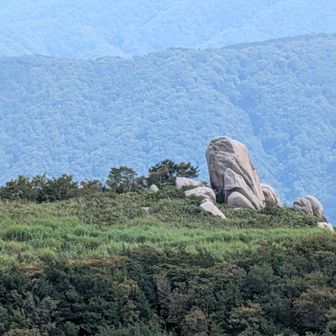 イルカ岩？