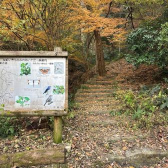 ここからスタート