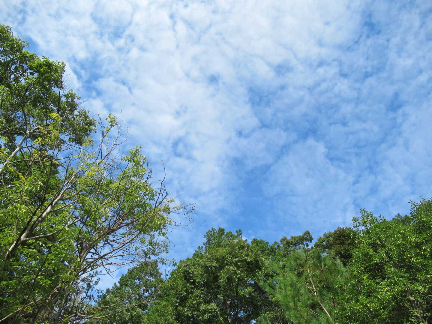 秋の空