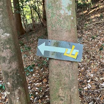 山〜行きます〜