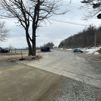 さすが平日ガラガラでーす👍