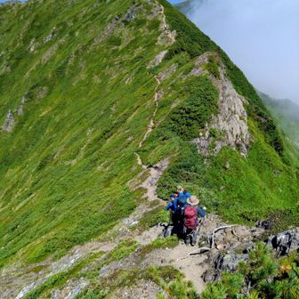 最高地点のちょっとの下りが地味に怖い