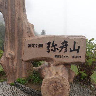 ここに山頂標識がありますが、もちろん山頂ではありません。筑波山も同じ感じでしたね。