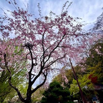 つーことで✋
山登りは誰と競う訳でも無いけど
高市さんのDO活動は見習いたいな✨

トレDOもチャレDOも👣
楽しくがモットーなボクでした🥳