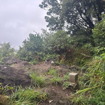 神武寺山！

この手前、ちょっとガサガサ。
あまり立ち寄らないのかな？