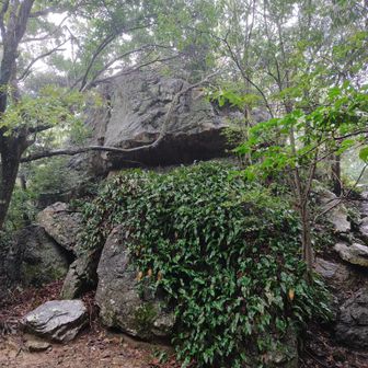 大岩 ここで頑張って雨宿り