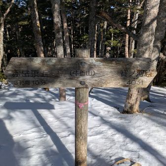 牛首山
樹林帯の中のピーク
下山も急坂なのでアイゼン、チェーンスパイクいります
