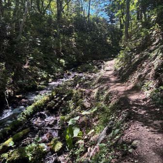 万計沼(ばんけいぬま)からの渓流の脇によく踏まれた登山道