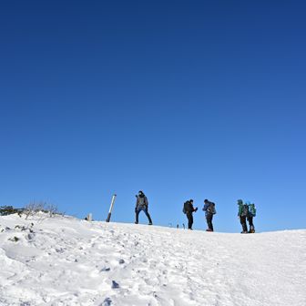 こっちも賑やか