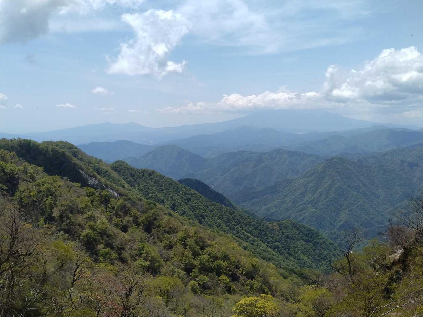 愛鷹山と富士山
手前の稜線は登ってきたところかな?