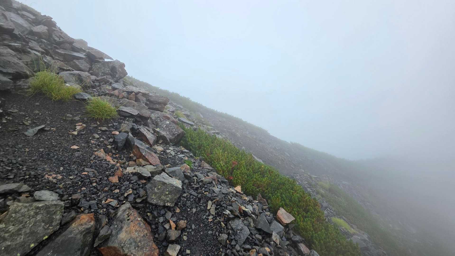 稜線に出てからは暴風雨が凄すぎてスマホが全く出せませんでした。この写真は風裏になった所でどうにか1枚だけ撮ったもの。すでに赤石岳登頂諦め、急いで小屋に向かっている所です。