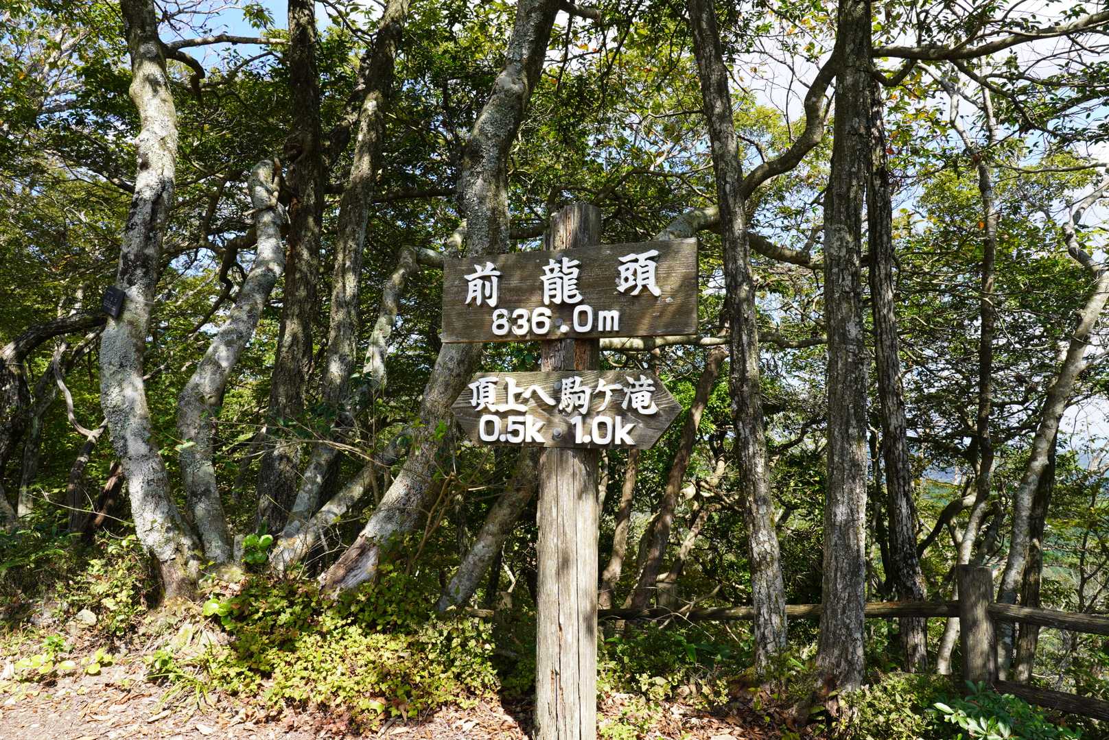 前龍頭に到着です❗️