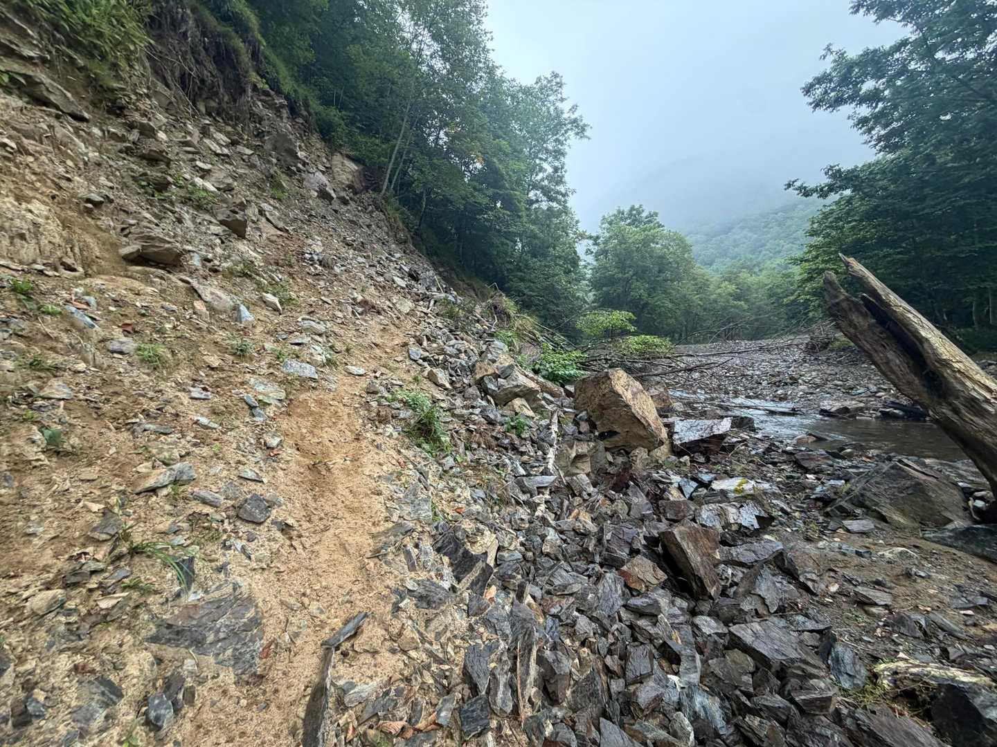 神威岳登山口-ベッピリガイ乗越-ペテガリ岳登山道入口-ペテ 往復コースの写真