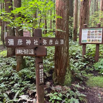 ここを左の弥彦公園方向🗺️へ