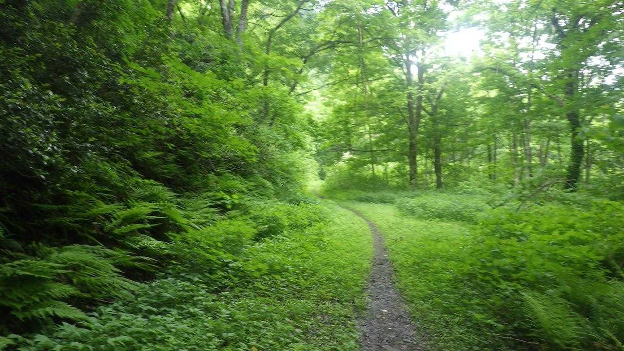 朳差岳（大石ダム彫刻公園）<千本峰・朳差岳>の写真