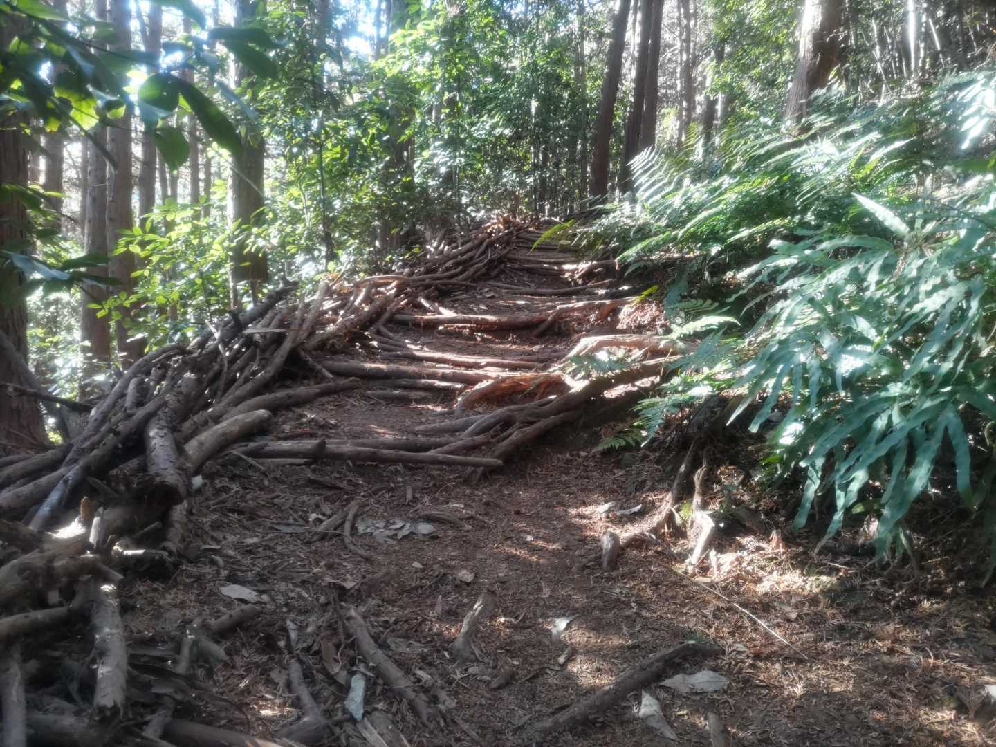 伐採した枝をきれいに組んだ階段とフチ。