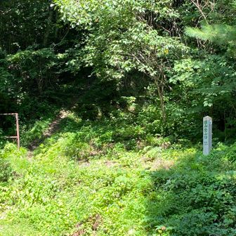 横山登山口

36分で着いた！下山愛好家の面目躍如🤣
ここからは車道歩きで国道のバス停目指す！

あ、この日はココまで誰一人会わなかった😳
てか人の気配すら皆無💦
春の花の時期じゃなくてもすごく素敵なのになぁ？