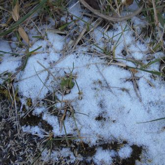 ちょい雪。