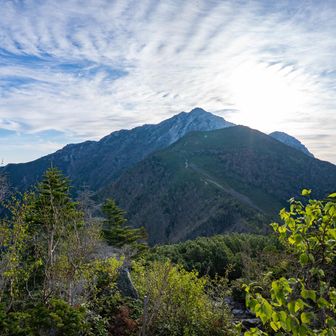 双児山ついたﾊｧﾊｧ