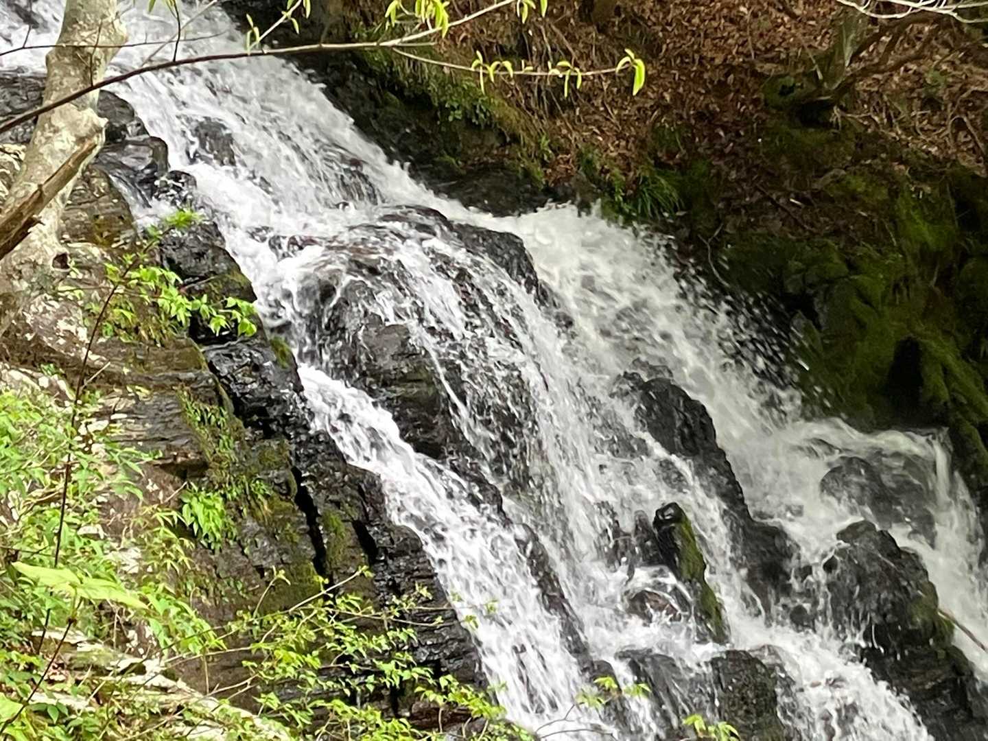 筏津登山口-東赤石山 往復コースの写真
