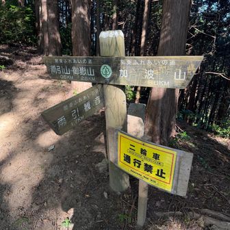 あと500m!
最後の登り、頑張ります。