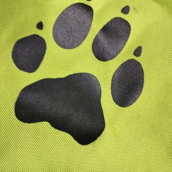 ここをキャンプ地とする