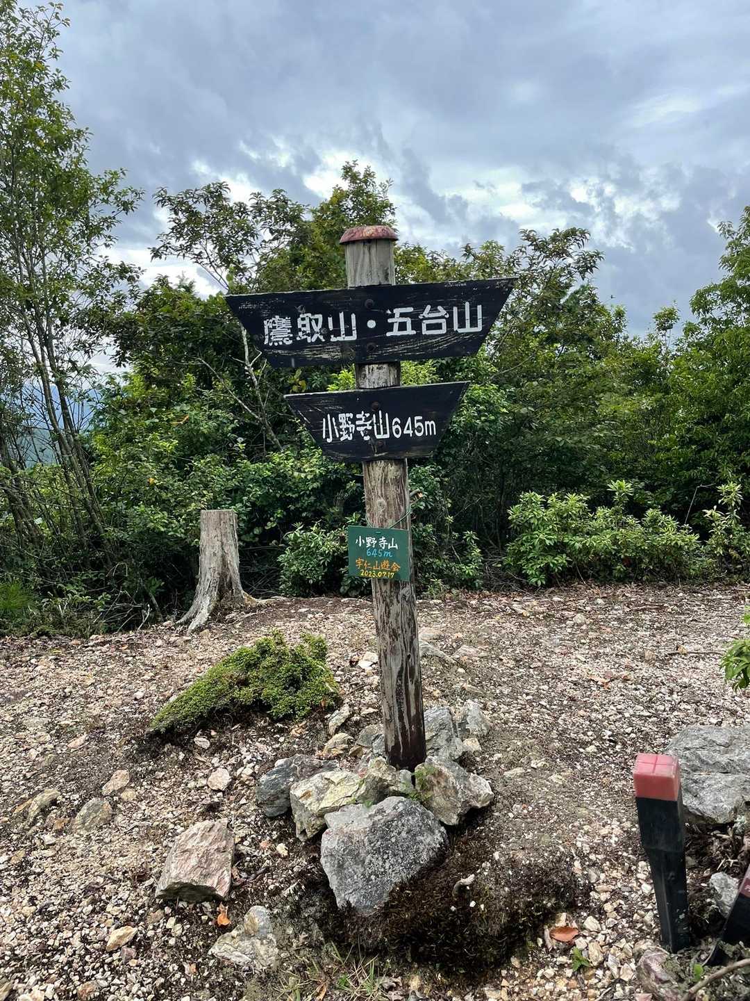 小野寺山⛰️ここで引き返しました