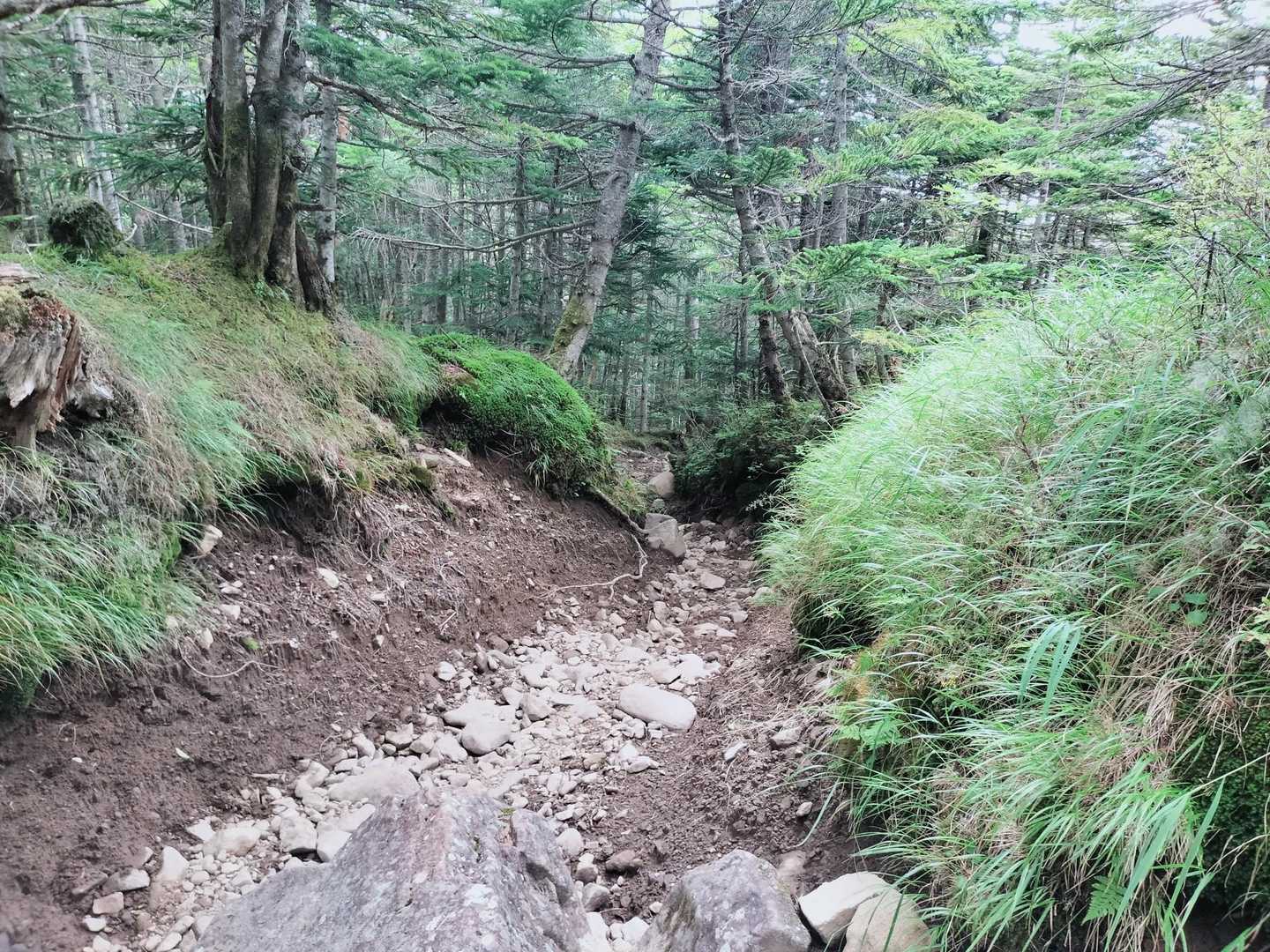 下山します🚶‍♂️