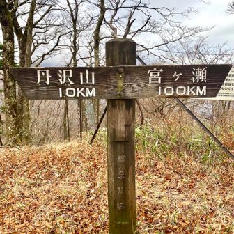 丹沢山と宮ヶ瀬が10kmと100km?
1kと10k…点がわかりづらい！
しかも これから向かう宮ヶ瀬はここから10km😱頑張ります！