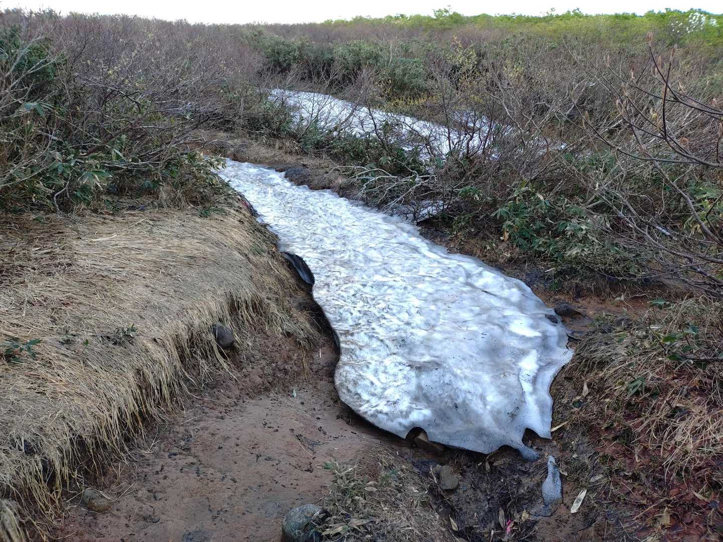 ルートの残雪は、標高約1375m、お不動様のあたりに少しだけ