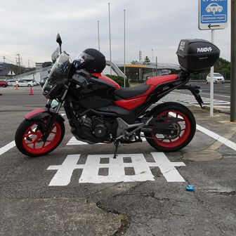 鯉釣りライダー