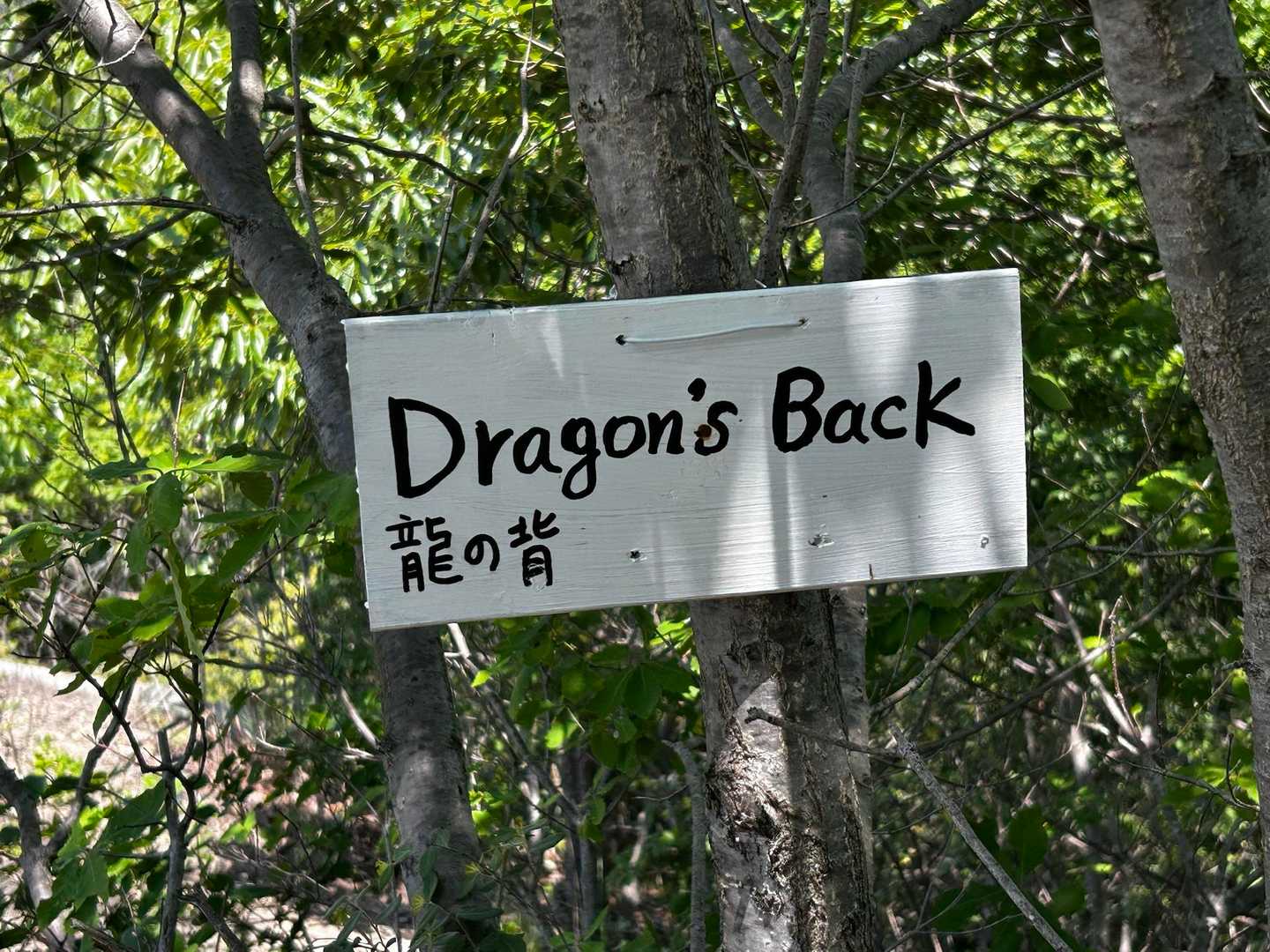 山崎山登り口-山崎山-苫編山-井ノ口山-籾取山-鬢櫛山登山 縦走コースの写真